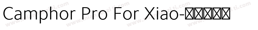 Camphor Pro For Xiao字体转换